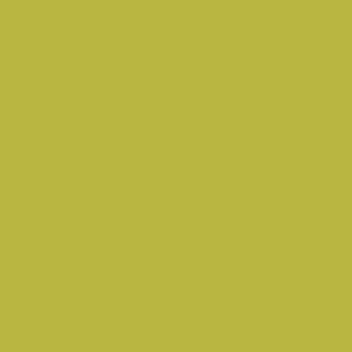 RUBY 465
